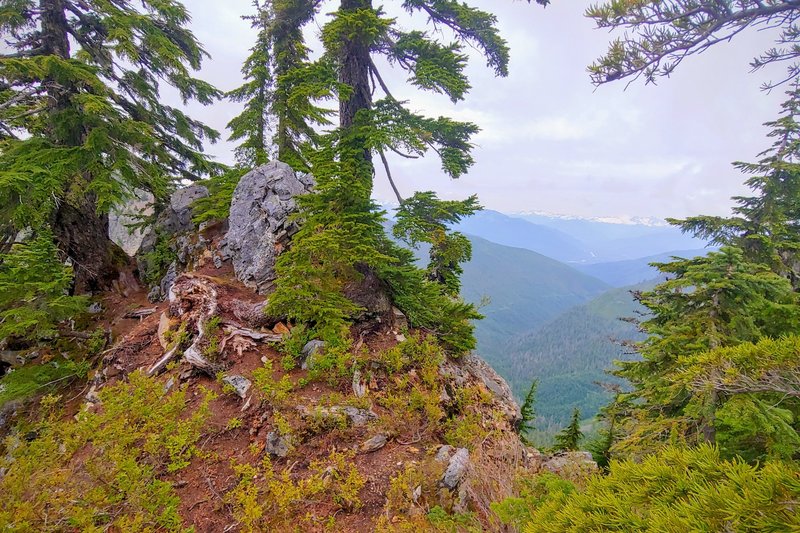 View looking E-SE; maybe 300' trail feet from the summit (out of shot to right).