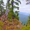 View looking E-SE; maybe 300' trail feet from the summit (out of shot to right).