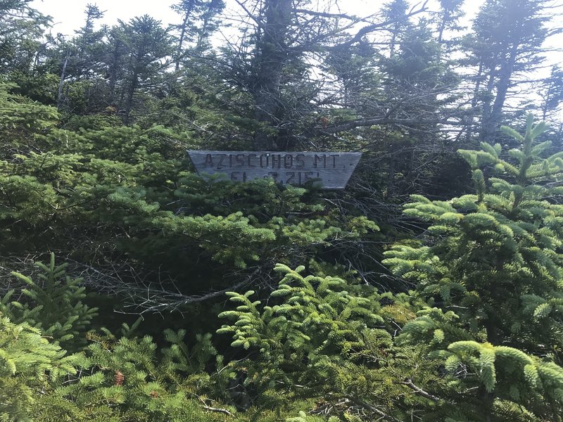 Sign at the top