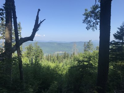 A view on the way up