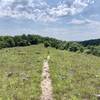 Technical singletrack across the glade.