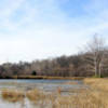 View of primary wetland cell looking West