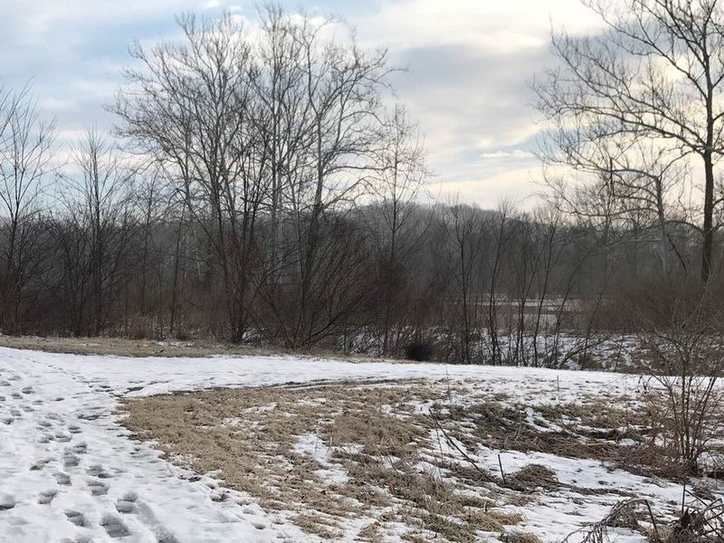 Confluence of main perimeter trail and informal trail at secondary wetland cell dam