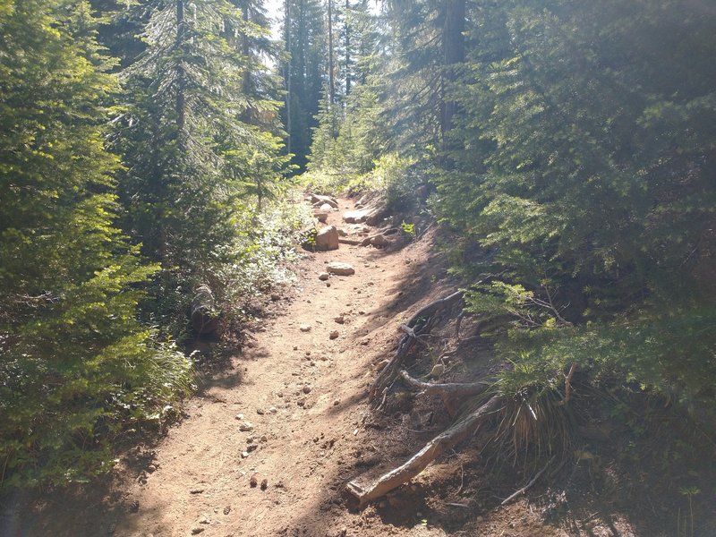 Duffy Lake Trail