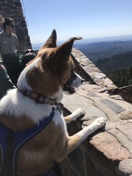 View from Black Elk Tower