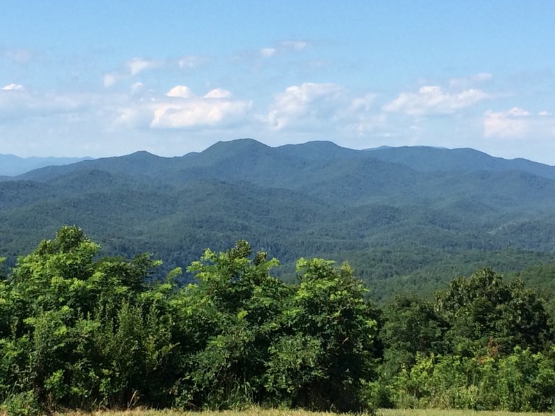 View from the top of Buck Bald July 14 2020