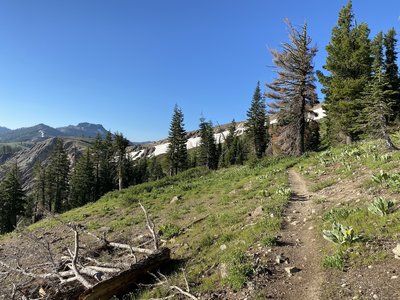 PCT Ridge Line