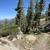 Heading towards Squaw Valley