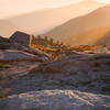 A deer watching me during a sunset at Lower Monarch Lake.