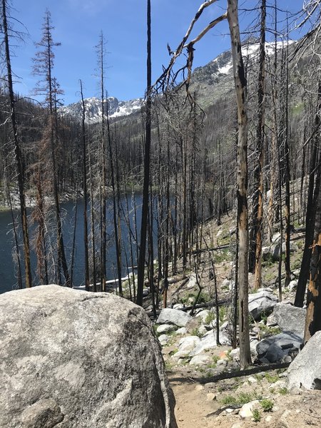 2017 fire burned most of lake shore