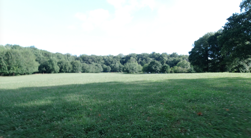 Grassy field - 5k Race Course start