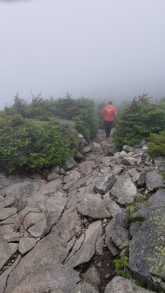 Greenleaf Path is steep with loose rock. Cool day on 7-2-2020 just below the Alpine Zone.