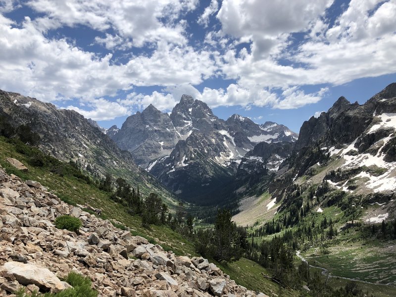 View coming down Paintbrush divide.