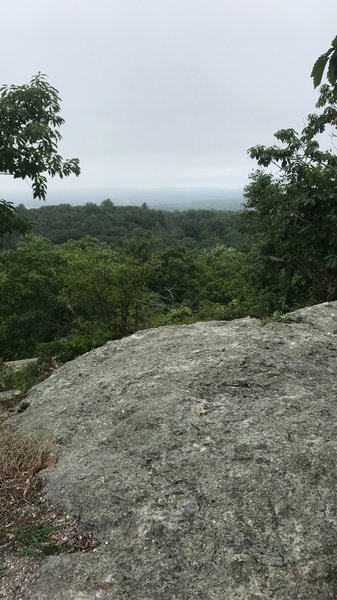 Bear Rock