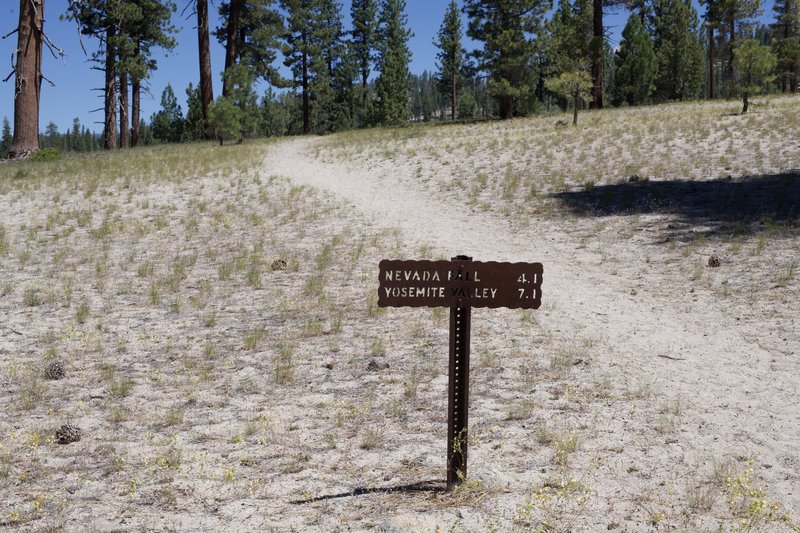 The trail departs the Mono Meadow Trail through a sandy area.