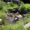 A small creek feeds a small meadow at this point in the trail. Two easy rock hops are required to get across the water.