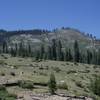 The trail moves through a burned out area. Views of the Illilouette Creek drainage can be enjoyed from this small hill.