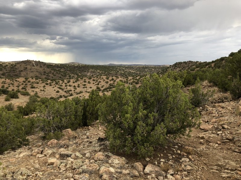 View from the top of the hill.