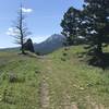 Wide two track looking south to Hardscrabble Peak.