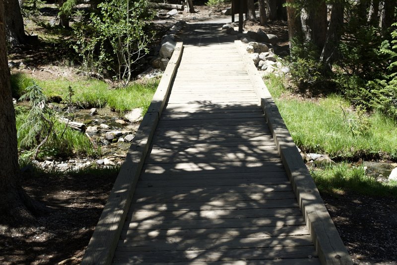 The trail crosses Lehman Creek right after leaving the parking lot.