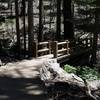 A bridge crosses a small creek as it makes its way up to the Mariposa Grove parking area.