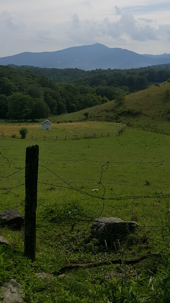 Long Range View of Grandfather Mtn.