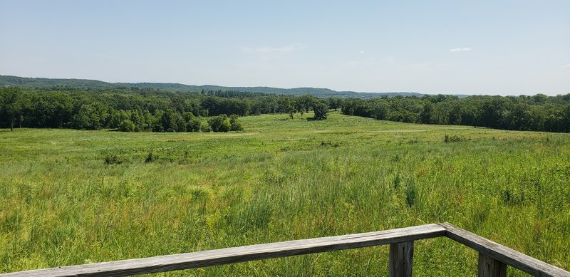 Observation platform