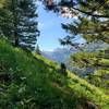 This is looking up Teton Canyon from the trail, but you can easily see how steep the hill is you are climbing on.