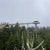 Clingman's Dome