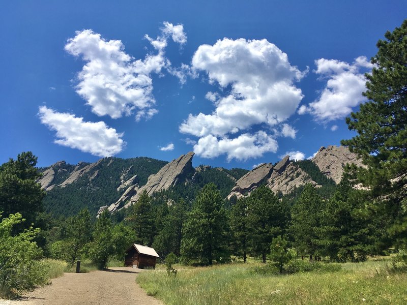 Near the intersection of Mesa and BlueBell Trail in Chautaqua Park.