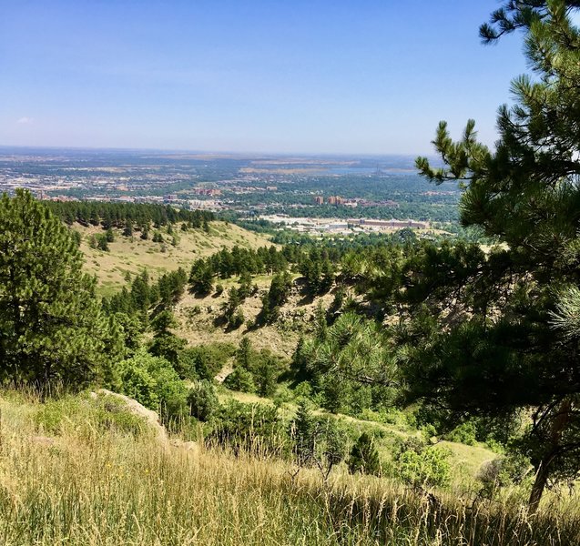 Looking out to U. Colo. Boulder from Mesa Trail.