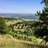 Looking out to U. Colo. Boulder from Mesa Trail.