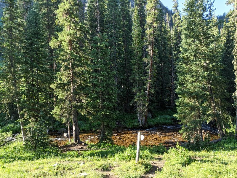 Junction to Gore Lake heads north here (about 4-4.25 miles in). Cross the creek here to continue on Gore Creek Trail. It's confusing, since there's also a trail that heads straight, but that's just to backpacking campsites and not the real trail.