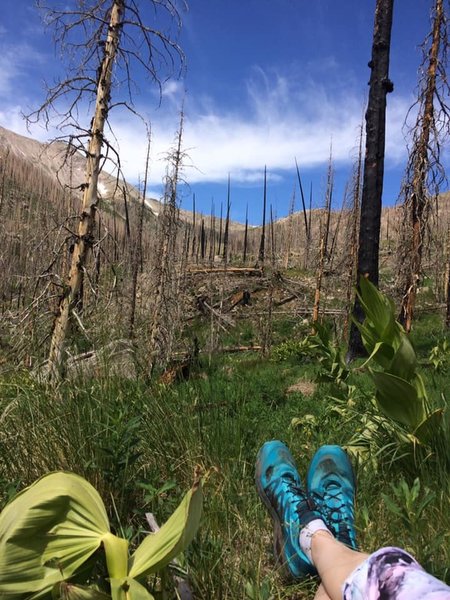 Resting about halfway up the trail.