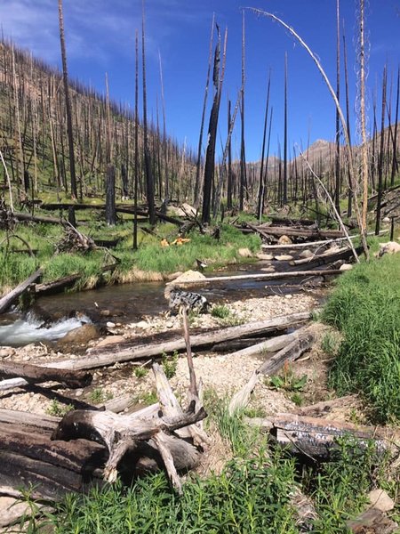 Hope creek winding through the burn scar. This would've been a completely different landscape with live trees.