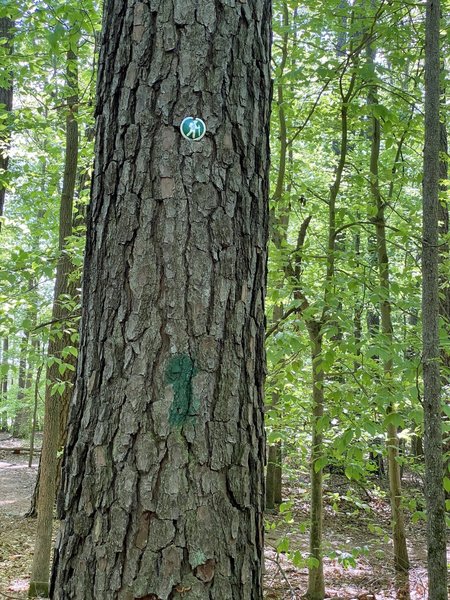 Trail marker for Trillium Trail