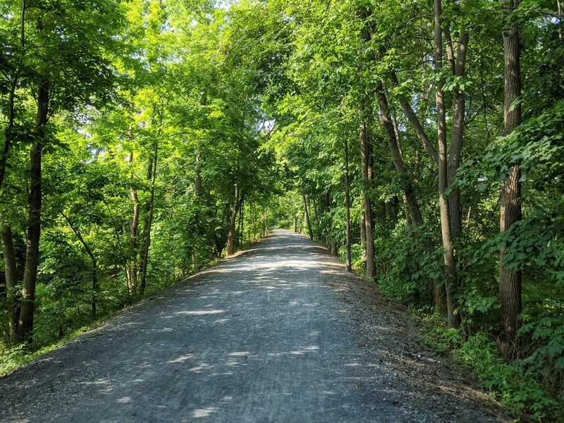 Typical view along the trail