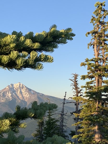 On top of Bachelor Mountain looking at Mount Jefferson.