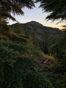 Review of Bachelor Mountain from Beargrass Meadows.