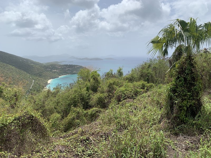 View from American factory ruins towards Cinnamon Bay.