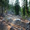 On the Panther Meadow Trail past the Gray Butte Trail junction.