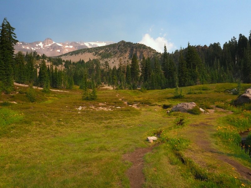 South Gate Meadows.