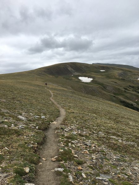 On the way  up, first view of snow.