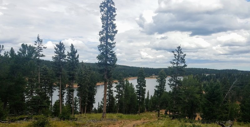 View from Limber Pines Trail looking down onto Catamount Reservoir South.