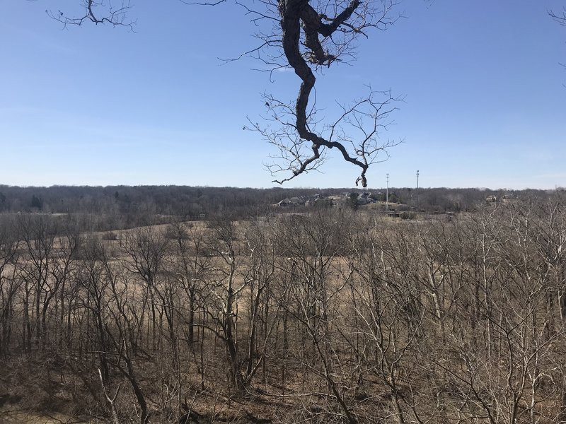 Olentangy Overlook, March 2020