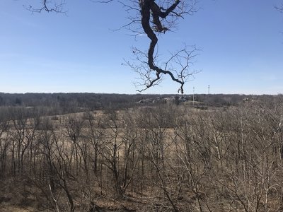 Olentangy Overlook, March 2020