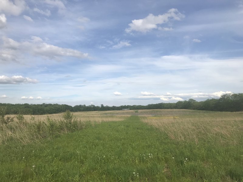 Field view on Multi-purpose Trail.