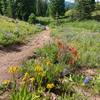 Along Corral Creek Trail