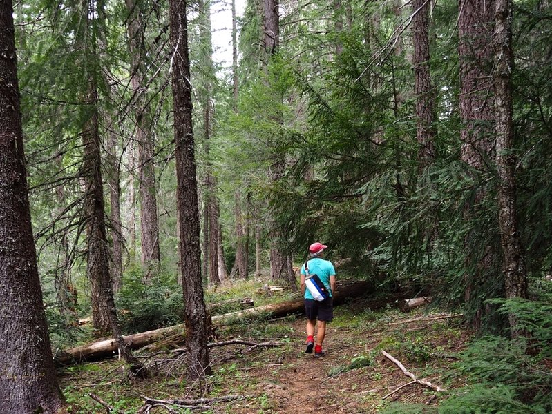 North along the Beaver Dam Trail.