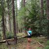 North along the Beaver Dam Trail.